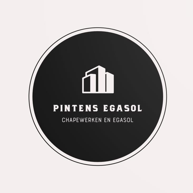 logo pintensss